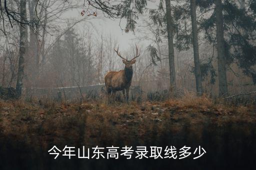 今年山東高考錄取線多少