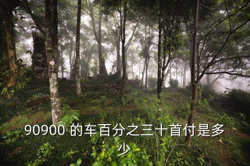 90900 的車(chē)百分之三十首付是多少