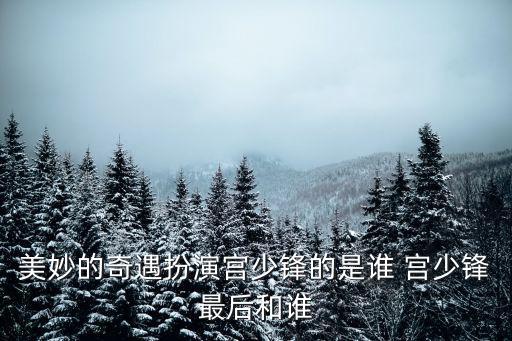 美妙奇遇，美妙的奇遇大寫字母怎么寫