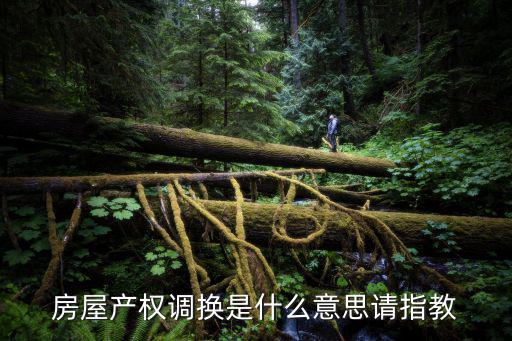 房屋產權調換是什么意思請指教