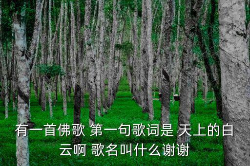 有一首佛歌 第一句歌詞是 天上的白云啊 歌名叫什么謝謝