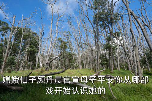 嫦娥仙子顏丹晨官宣母子平安你從哪部戲開始認(rèn)識(shí)她的