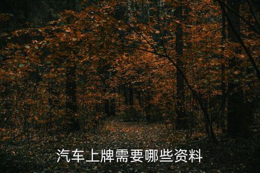 汽車上牌，汽車上牌流程
