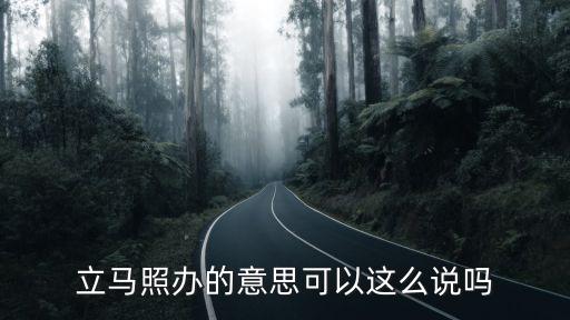 立馬照辦的意思可以這么說嗎
