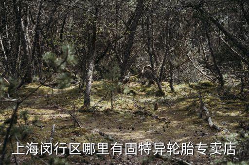 上海閔行區哪里有固特異輪胎專賣店