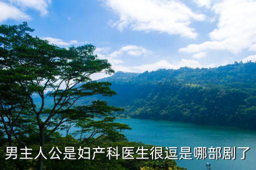 男主人公是婦產科醫生很逗是哪部劇了