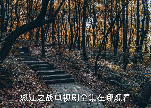 怒江之戰電視劇全集在哪觀看