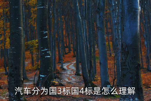 國三標準，國三標準和國二標準什么區別那個好一些啊
