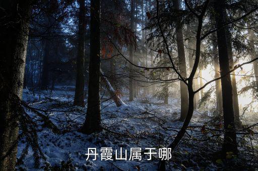 丹霞山屬于哪