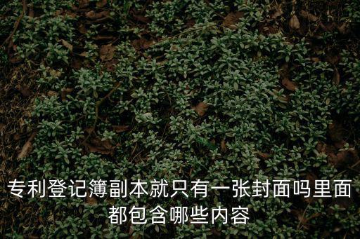 專(zhuān)利登記簿副本就只有一張封面嗎里面都包含哪些內(nèi)容
