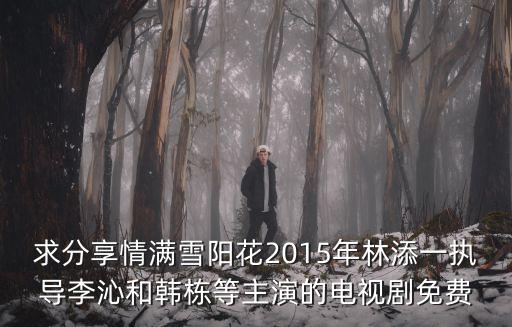 求分享情滿雪陽花2015年林添一執導李沁和韓棟等主演的電視劇免費