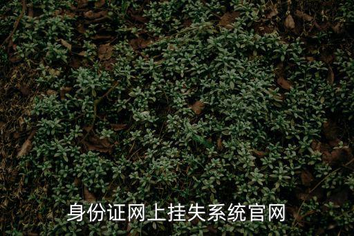 身份證掛失官網，身份證怎么上網掛失