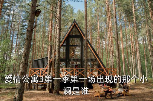 愛情公寓3第一季第一場出現的那個小瀾是誰