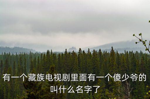 有一個藏族電視劇里面有一個傻少爺的叫什么名字了
