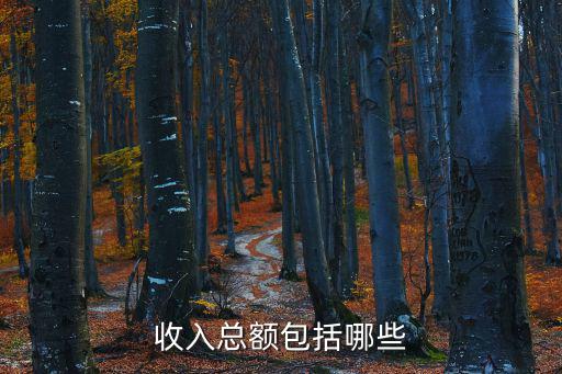 收入總額包括哪些