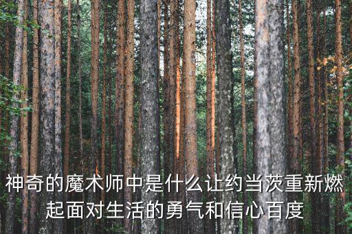 神奇魔術師，神奇的魔術師這篇文章的主要內容