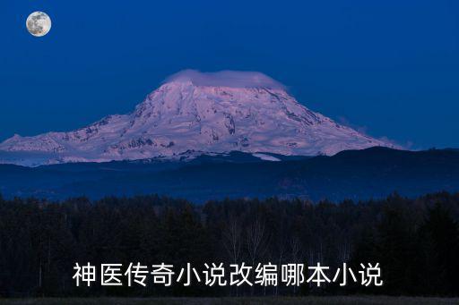 神醫傳奇小說改編哪本小說