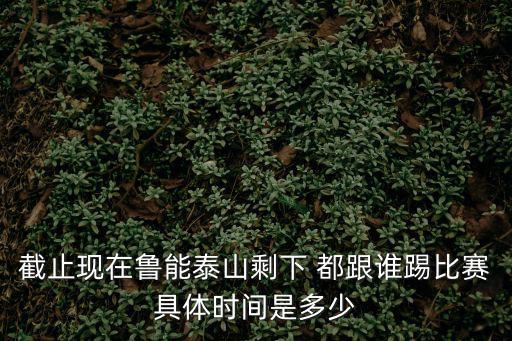 截止現在魯能泰山剩下 都跟誰踢比賽具體時間是多少