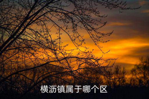 橫瀝鎮屬于哪個區