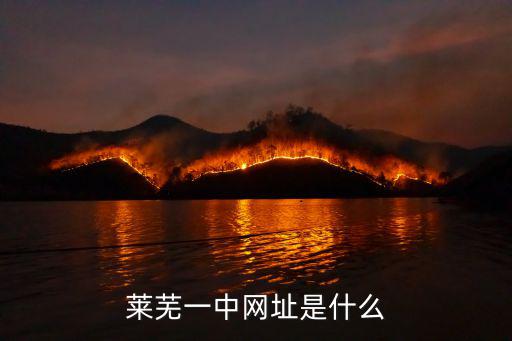 萊蕪一中網址是什么