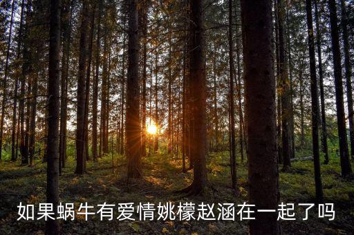 如果蝸牛有愛情姚檬趙涵在一起了嗎
