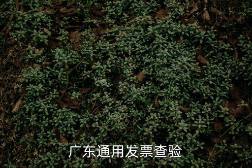 廣東地稅發票查詢，win10無法查詢廣東省地稅發票系統