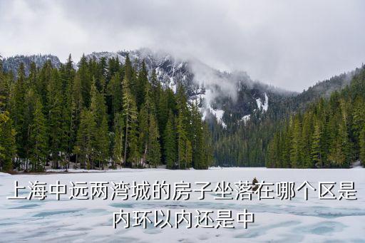 上海中遠兩灣城，中遠兩灣城開發商是那家公司的