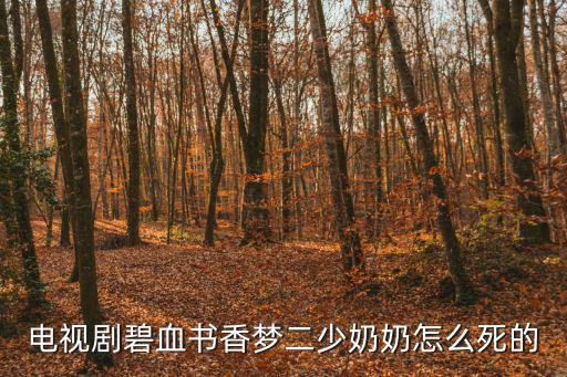 電視劇碧血書香夢二少奶奶怎么死的