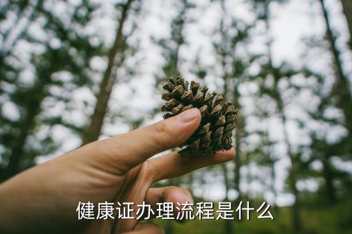 辦理健康證流程，如何辦理健康證過(guò)程
