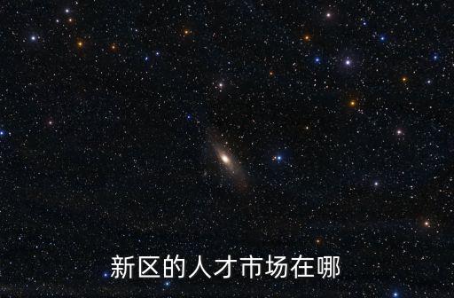 新區(qū)的人才市場(chǎng)在哪