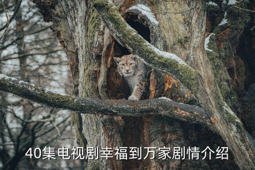 40集電視劇幸福到萬家劇情介紹