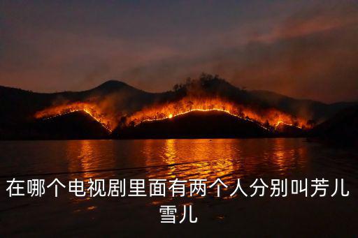 在哪個(gè)電視劇里面有兩個(gè)人分別叫芳兒雪兒