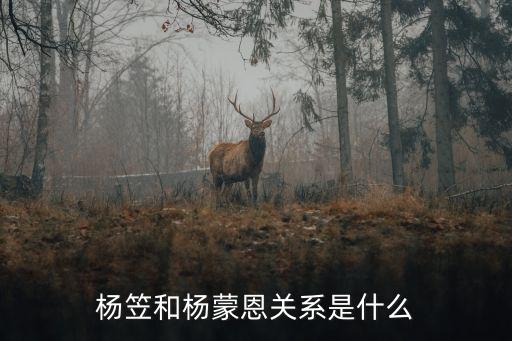 楊笠和楊蒙恩關(guān)系是什么