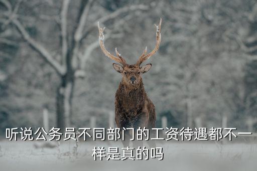 聽說公務(wù)員不同部門的工資待遇都不一樣是真的嗎