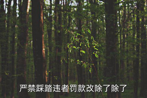 禁止踩踏，學校草坪嚴禁踩踏違者罰款