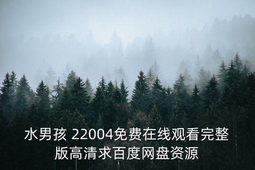 水男孩 22004免費在線觀看完整版高清求百度網盤資源