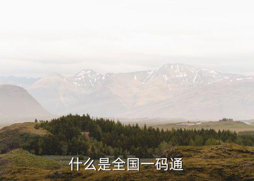 一碼通是什么意思，一碼通是什么意思