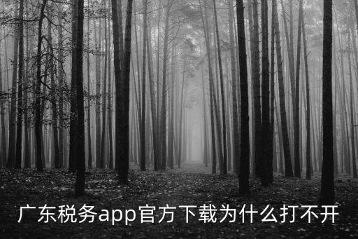 廣東稅務(wù)app官方下載為什么打不開
