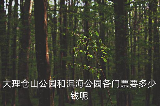 洱海門票，蒼山洱海有門票嗎