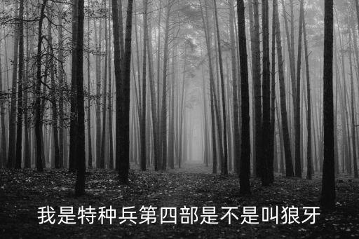 我是特種兵第四部是不是叫狼牙
