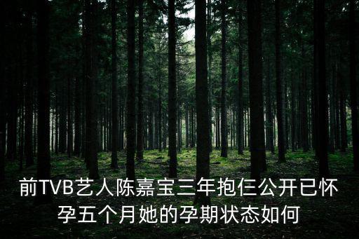 陳嘉寶，陳嘉寶男孩名字好嗎