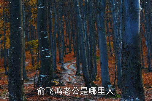 俞飛鴻老公是哪里人