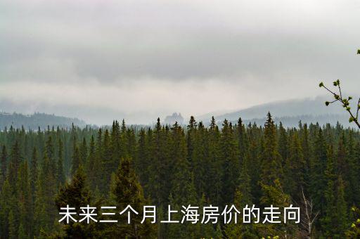 未來三個月上海房價的走向
