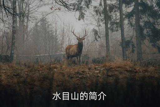 水目山，水目山舍利子沒排到中國六大發現之一