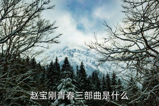 趙寶剛青春三部曲是什么