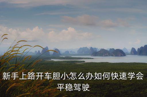 新手上路開車膽小怎么辦如何快速學會平穩駕駛