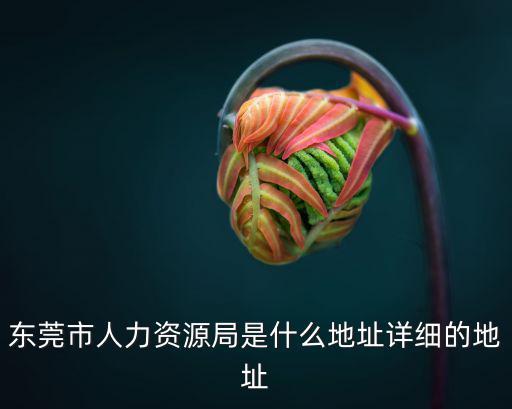 東莞市人力資源局是什么地址詳細的地址