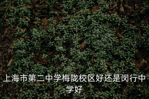 上海市第二中學梅隴校區好還是閔行中學好
