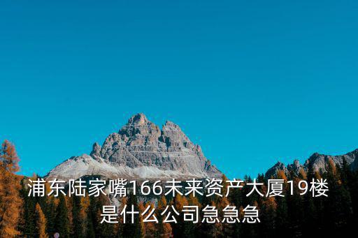 浦東陸家嘴166未來資產大廈19樓 是什么公司急急急