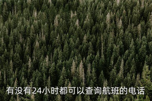 有沒有24小時都可以查詢航班的電話
